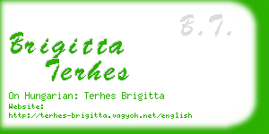 brigitta terhes business card